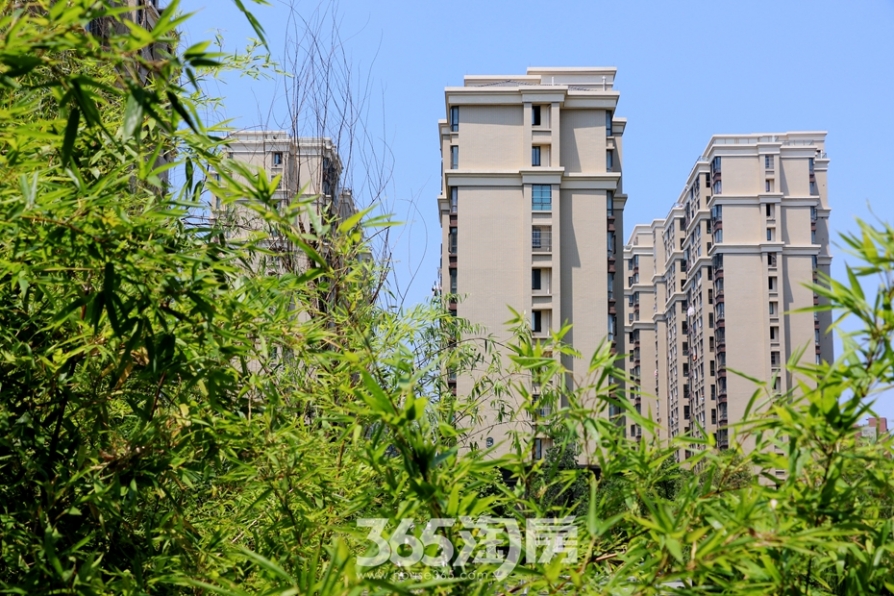 蕪湖三潭音悅引領(lǐng)高科技音頻新紀(jì)元，最新動態(tài)更新